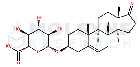 Dehydroepiandrosterone Glucuronide