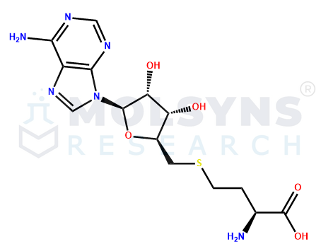 S-Adenosyl-L-Homocysteine