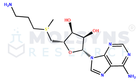S-Adenosylmethioninamine