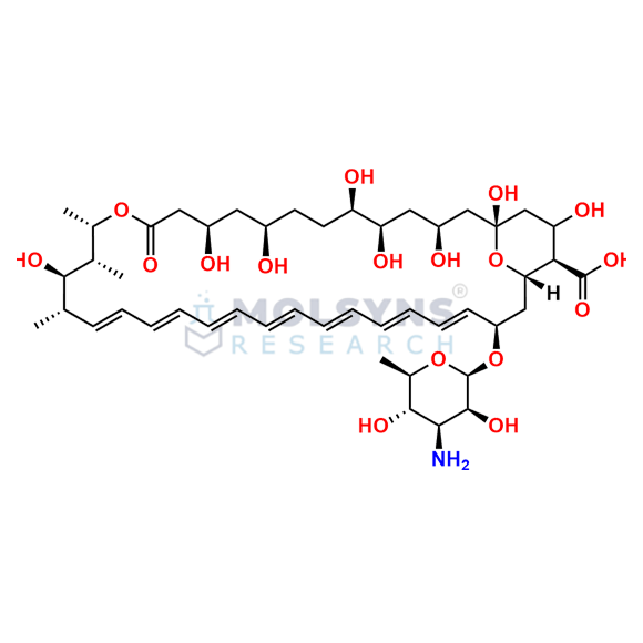 Amphotericin B