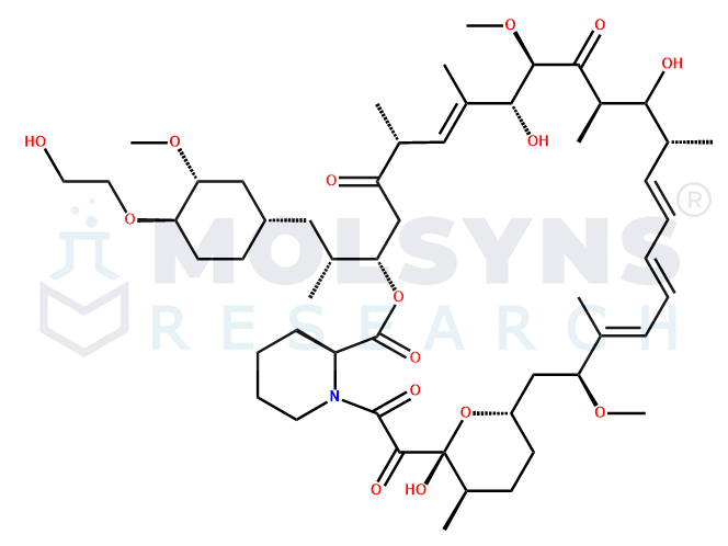 24-Hydroxy everolimus